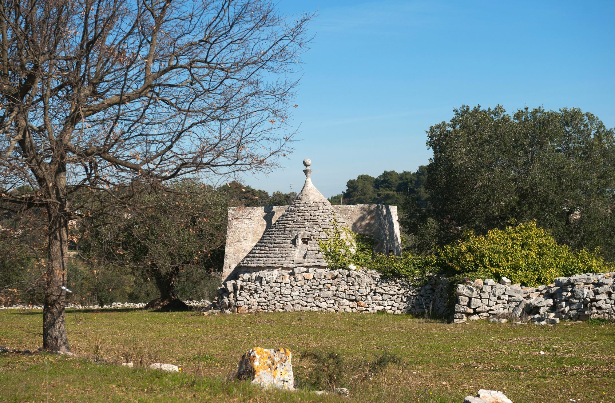 Masseria Calongo *